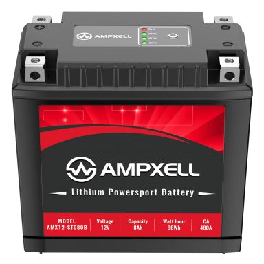 12V8Ah starter battery